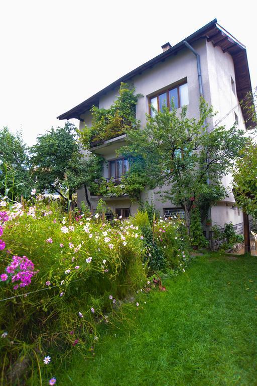 Topuzovi Guest House Dobrinischte Exterior foto