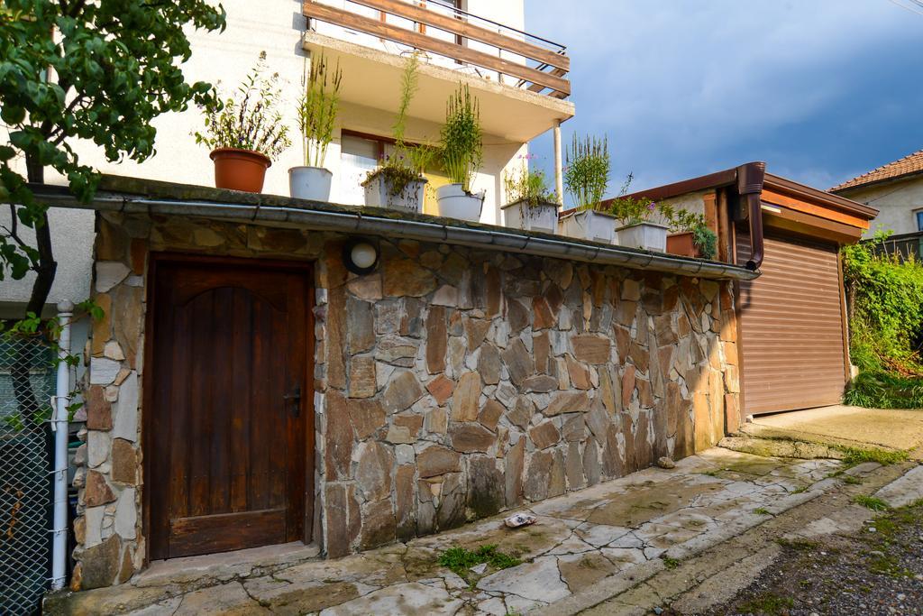 Topuzovi Guest House Dobrinischte Exterior foto
