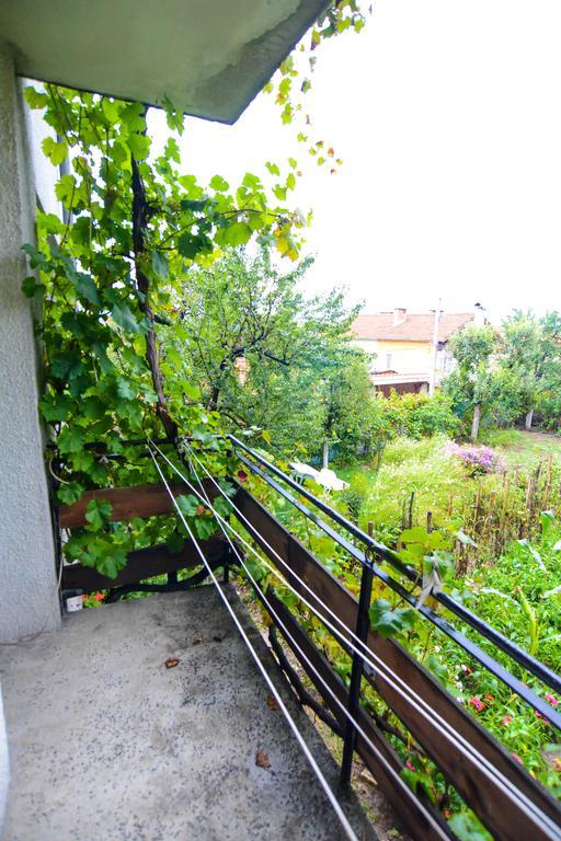 Topuzovi Guest House Dobrinischte Exterior foto